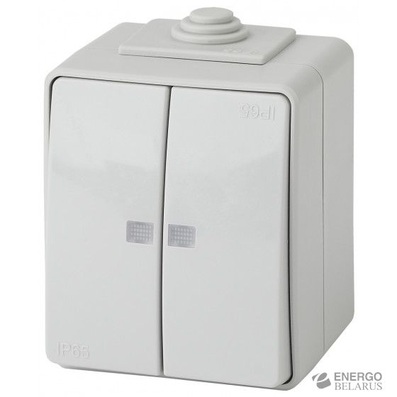 11-1605-03 ЭРА Выключатель двойной с подсветкой IP65, 10АХ-250В, ОУ, Эра Эксперт, серый