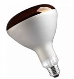 Лампа накаливания для обогрева животных ИКЗ 215-225-175-1