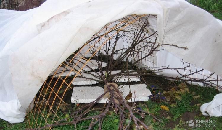 Геотекстиль укрывной для винограда двухслойный 1х20м