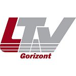 Ключ доступа LTV Gorizont LS303932