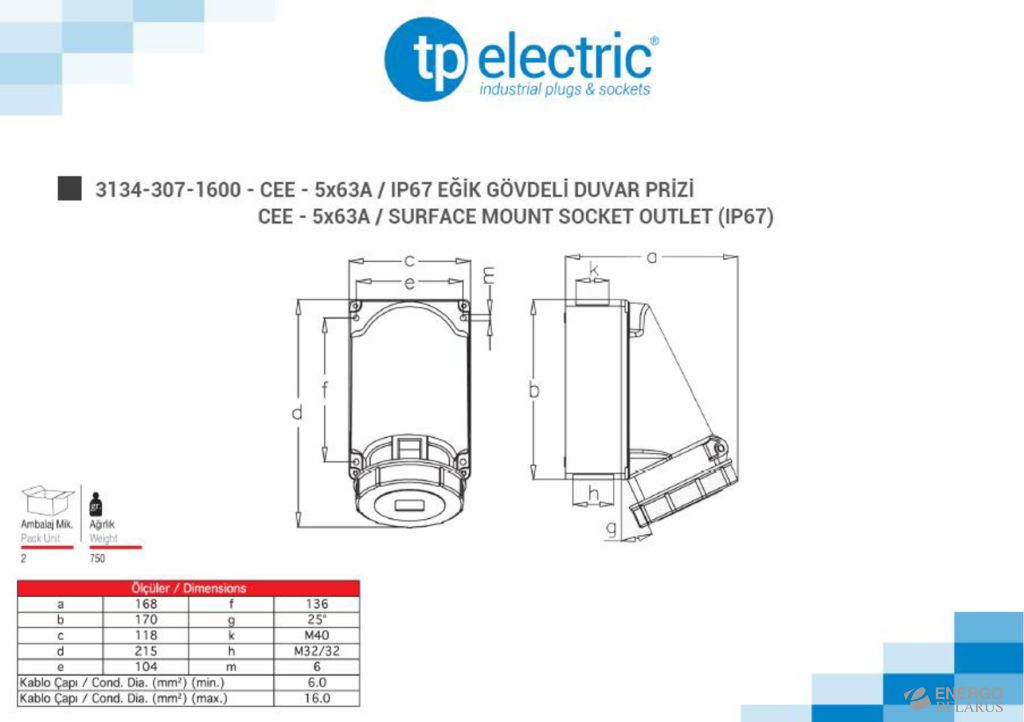 Розетка стационарная настенная (3P+N+PE) IP67 5x63A 3134-307-1600