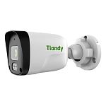 IP-Камера Tiandy TC-C321N Spec:AK/I3W/E/Y/4mm/V2.0