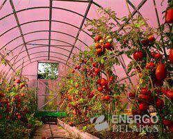 Поликарбонат 2,1x12 м 4,0 мм прозрачный «GREENHOUSE-NANO»