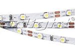 Светодиодные ленты RT 2-5000 12V DAY WHITE (3528, 300 LED, CRI98)