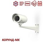 ТВК-61IP-5-V2812-12VDC 00135 Видеокамера IP