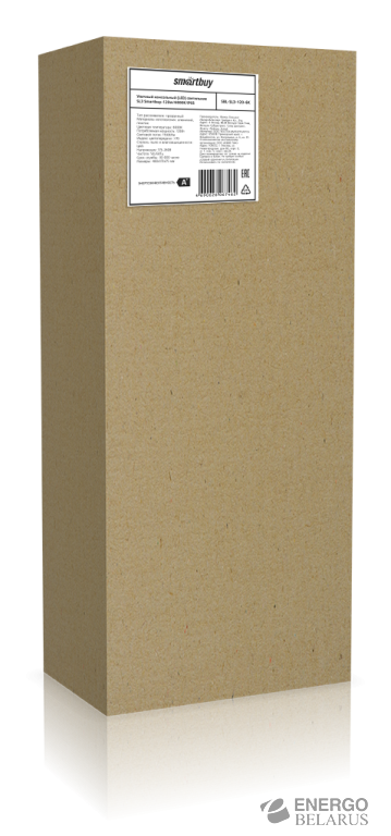 Светильник консольный уличный SL3, Smartbuy SBL-SL3-120-6K