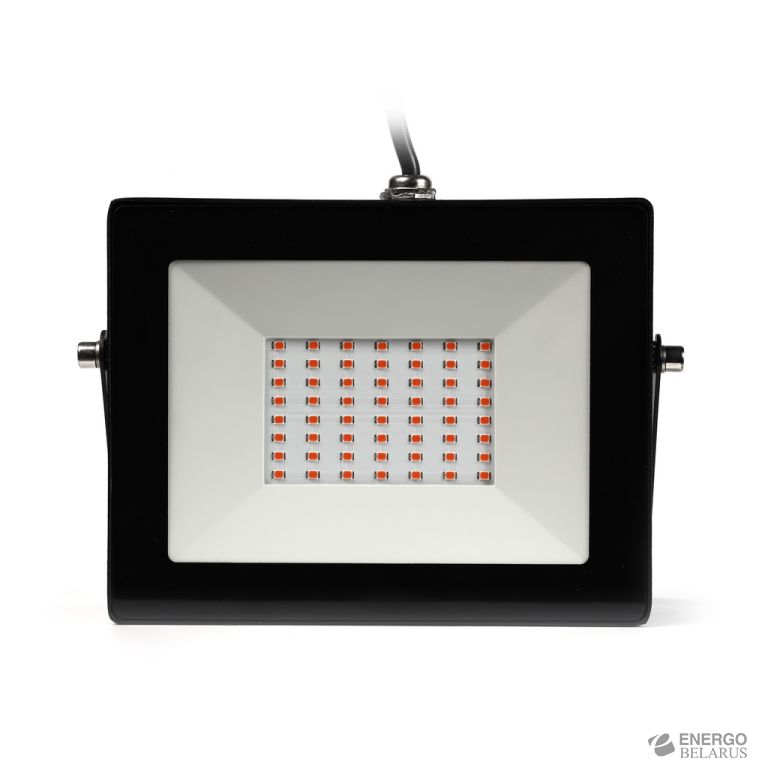 Светодиодный (LED) прожектор FL ФИТО Smartbuy SBL-FLFITO-50-65K
