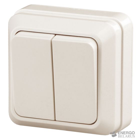 2-104-02 Intro Выключатель двойной, 10А-250В, IP20, ОУ, Quadro, сл.кость