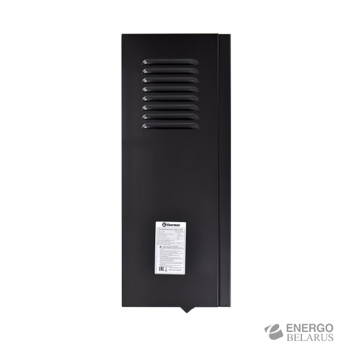 Котел электрический настенный THERMEX Boss 12 Wi-Fi (Black)