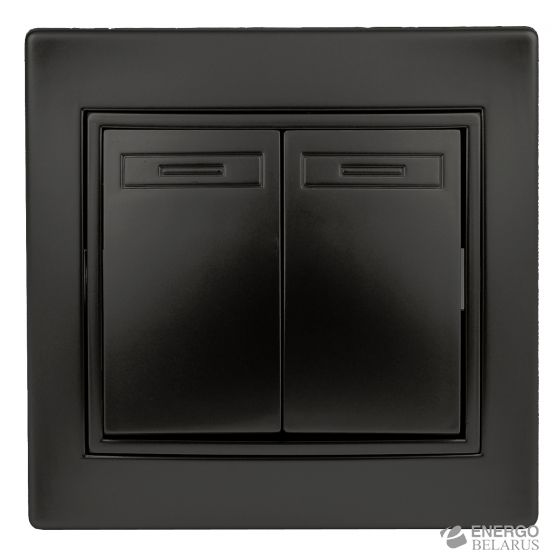1-104-05 Intro Выключатель двойной, 10А-250В, IP20, СУ, Plano, антрацит