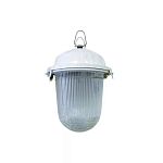 Светильник НСП 02-100-001.01 У2 (без решетки, стекло, крюк, в сборе, инд.упак.) TDM