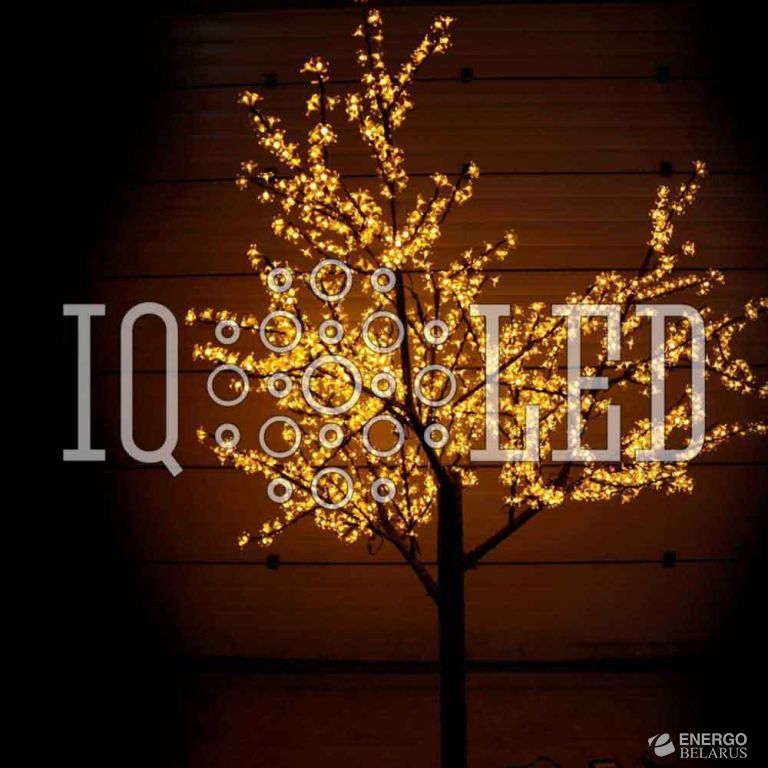 Вишня 2,5m D2,0 желтое