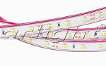 Светодиодные ленты RTW 2-5000PGS 12V WHITE (3528, 300 LED, LUX)