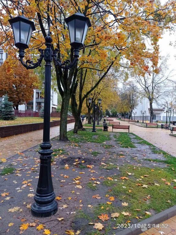 Опора освещения чугунная Alciona Park_2S_H2990