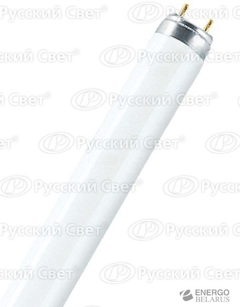Лампа люминесцентная L 36W/765 G13 дневного цвета OSRAM 4008321959836/4052899352834