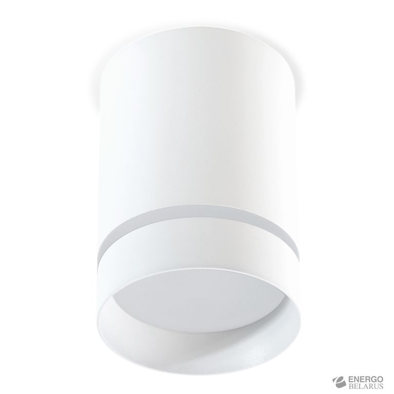 Светильник TS2010 накладной, 9 Вт 4000К, белый, Smartbuy SBL-TS2011-9W-4K-b