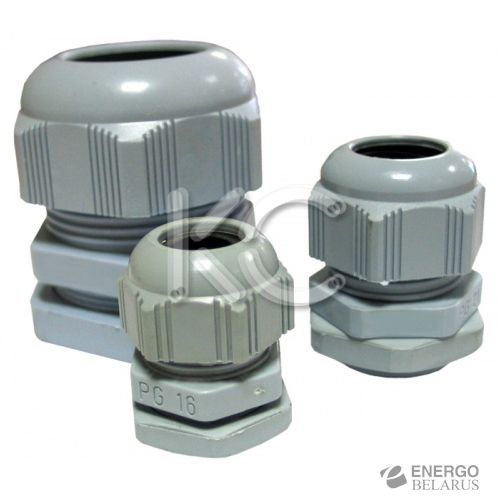 Сальник РГ 29 КС