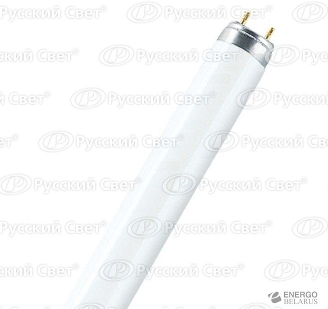 Лампа люминесцентная L 58Вт/840 LUMILUX смол. OSRAM 4008321582744