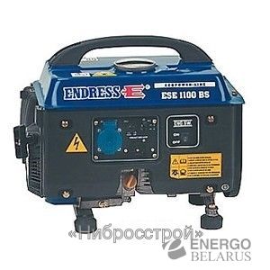   ENDRESS ESE 1100 BS (1,0)
