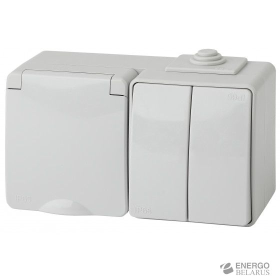11-7602-03 ЭРА Блок розетка+выкл. двойн. гориз. IP65, 16A(10AX)-250В, ОУ, Эра Эксперт, серый