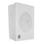 Громкоговоритель настенный AL-02