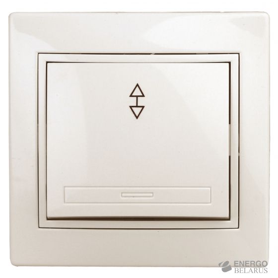 1-103-02 Intro Переключатель, 10А-250В, IP20, СУ, Plano, сл.кость