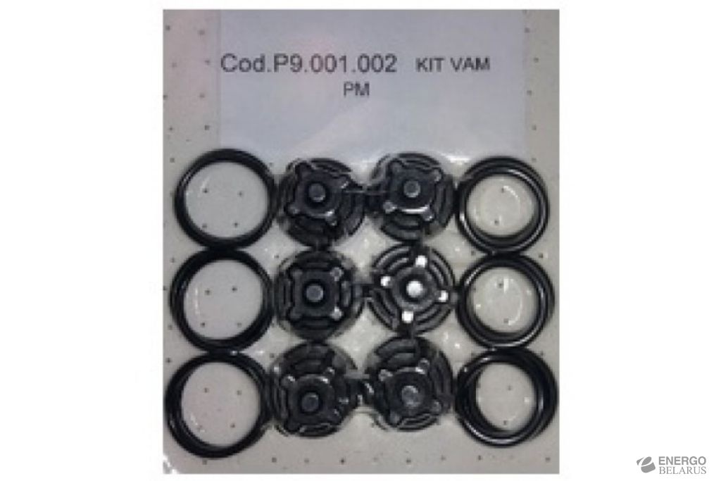Комплект клапанов насоса MAZZONI PM1415R  (6 шт)