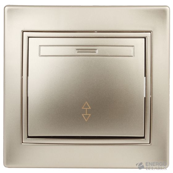 1-103-04 Intro Переключатель, 10А-250В, IP20, СУ, Plano, шампань