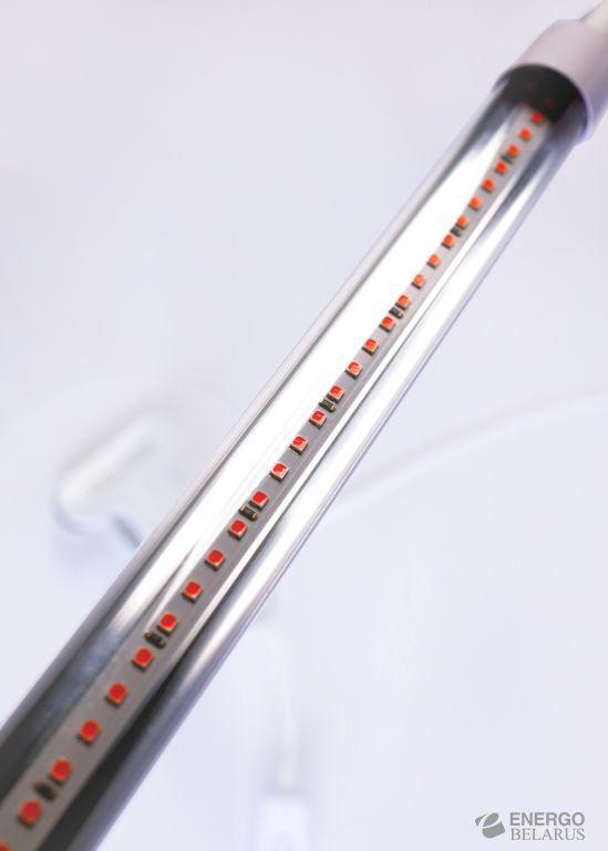 Светильник светодиодный (LED) Fito на прищепке, Smartbuy SBL-Fito-12-White