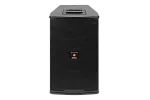 Активная акустическая система AFLA-1201