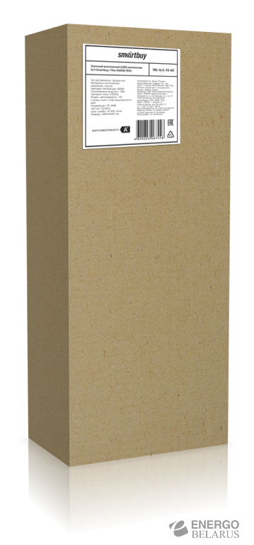 Светильник консольный уличный SL3, Smartbuy SBL-SL3-70-6K