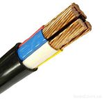 Кабель ВВГнг ls 1х10