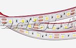 Светодиодные ленты RTW 2-5000PGS 12V White 2x (5060, 300 LED)