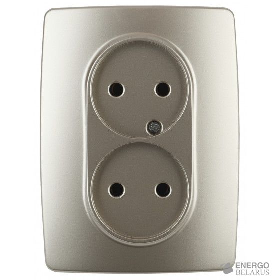 12-2107-04 ЭРА Розетка 2X2P, 16A-250В, IP20, Эра12, шампань