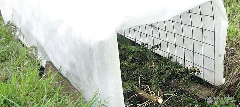 Геотекстиль укрывной для винограда двухслойный 1х20м