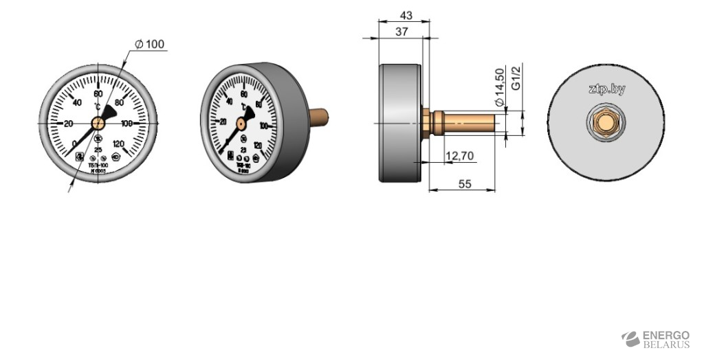 Термометр биметаллический показывающий ТБП100/100/Т3