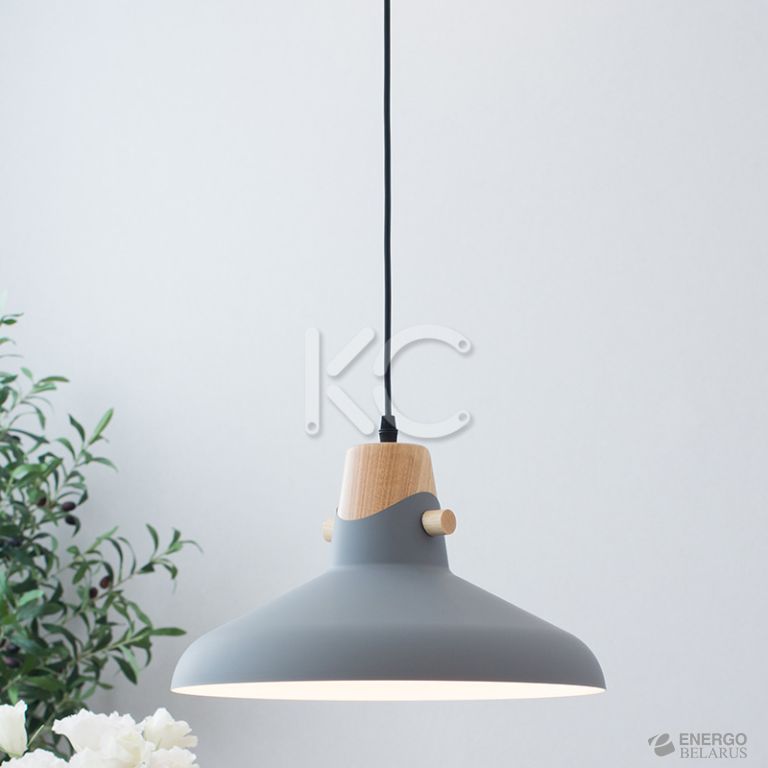 Светильник светодиодный подвесной Астерия MMD-LED A039-2-1xE27, серый, Home Light