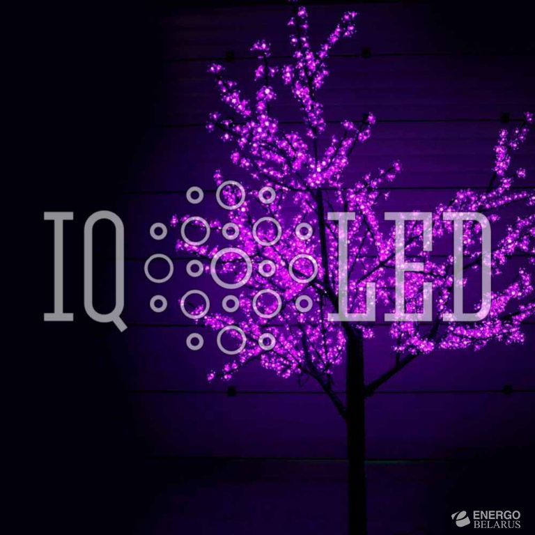 Вишня 2,5m D2,0 фиолетовое