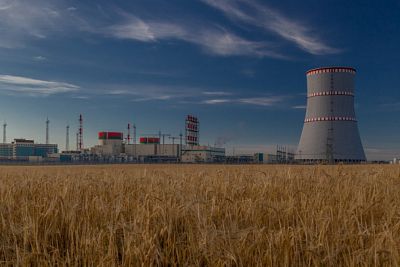 С вводом АЭС доля природного газа в энергобалансе Беларуси снизится до 60 %