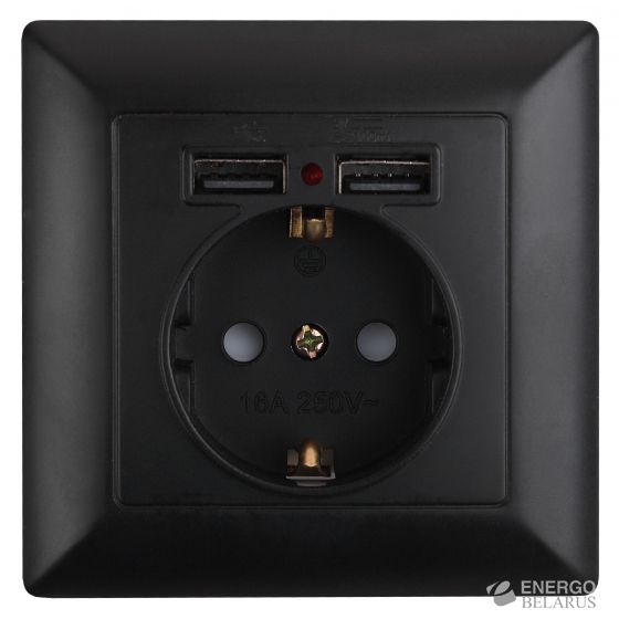 4-410-05 Intro Розетка P+E Schuko со шторками, 16А-250В + 2хUSB, СУ, Solo, антрацит