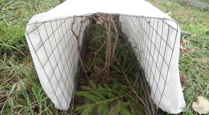 Геотекстиль укрывной для винограда двухслойный 1х20м