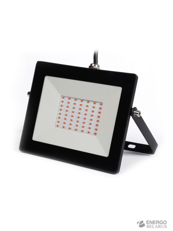 Светодиодный (LED) прожектор FL ФИТО Smartbuy SBL-FLFITO-50-65K