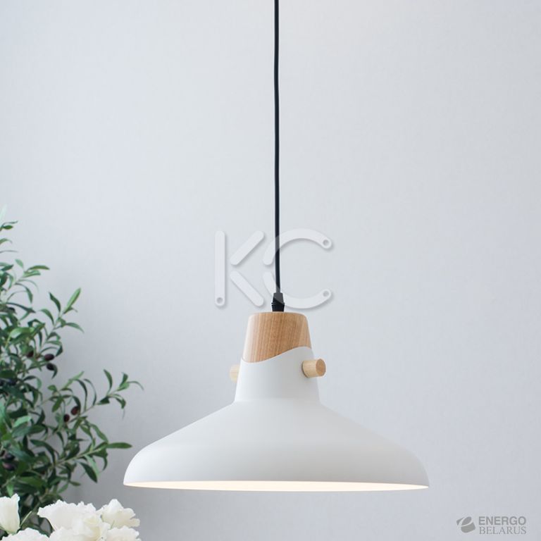 Светильник светодиодный подвесной Астерия MMD-LED A039-1-1xE27, белый, Home Light