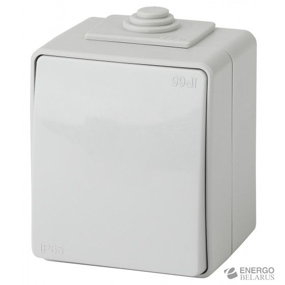 11-1601-03 ЭРА Выключатель IP65, 10АХ-250В, ОУ, Эра Эксперт, серый