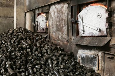 В Беларуси планируют развивать проекты по использованию торфопродукции на цементных заводах