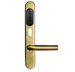 Gate-IP-Lock (IP500)