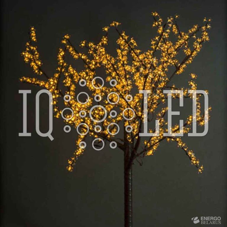 Вишня 1,9m D1,5 желтое