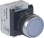 Кнопка  023750